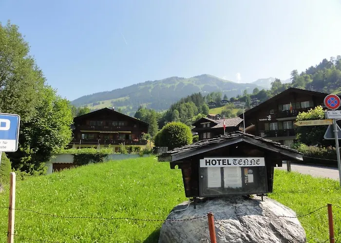 Tenne Hotel Lenk