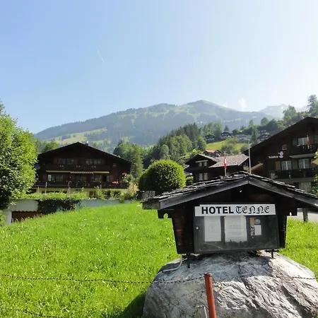 Tenne Hotel Lenk