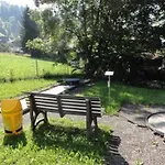 Tenne Hotel Lenk