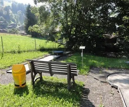 Tenne Hotel Lenk